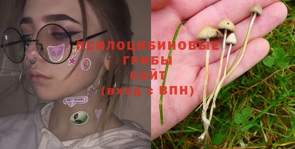 мдпв Арсеньев