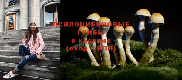 мдпв Арсеньев